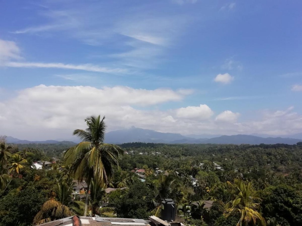 Dreamscape home stay Image 11