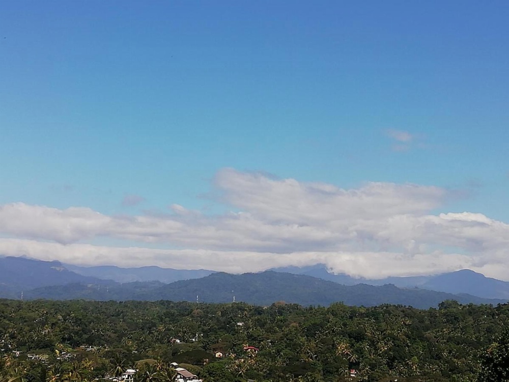 Dreamscape home stay Image 13