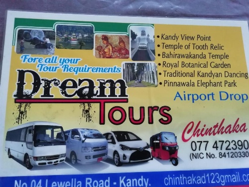 Dreamscape home stay image 5